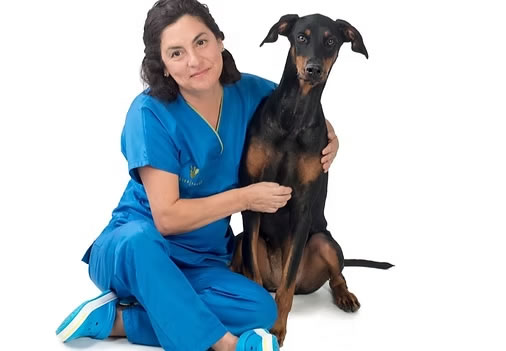 Gloria Garcia Veterinario en Latina Madrid Gloria Garcia Veterinario en Latina Madrid