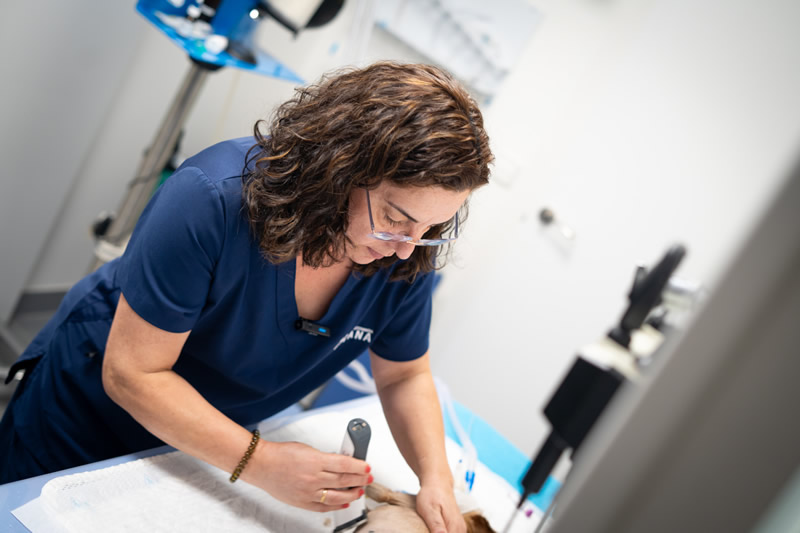 Clinica Veterinaria en Latina Madrid