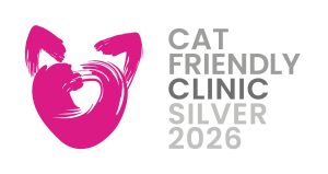 cat-friendly-clinica-veterinaria-dana